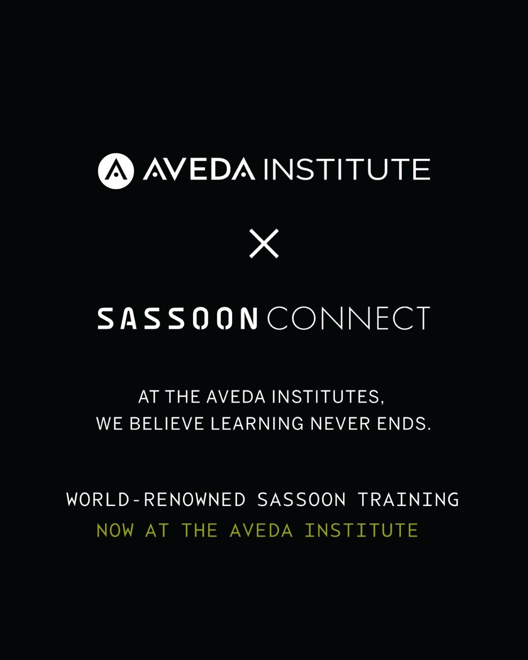 Aveda Institutes Introduce Sassoon Training to Cosmetology Curriculum 